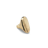 Everyday Oval Signet Ring in Gold